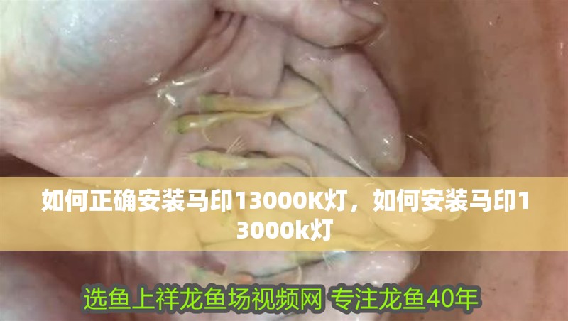 如何正確安裝馬印13000K燈，如何安裝馬印13000k燈