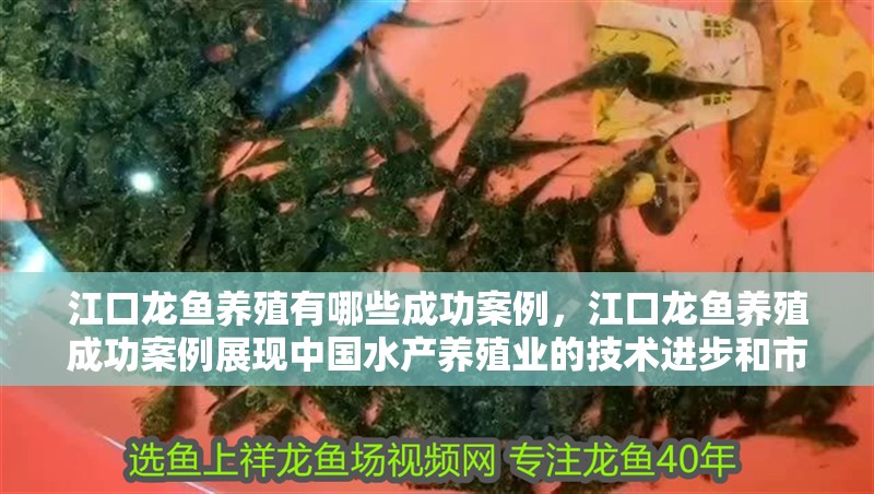 詳細閱讀:江口龍魚養殖有哪些成功案例,江口龍魚養殖成功案例展現中國水產養殖業的技術進步和市場潛力 江口龍魚養殖有哪些成功案例,江口龍魚養殖成功案例展現中國水產養殖業的技術進步和市場潛力