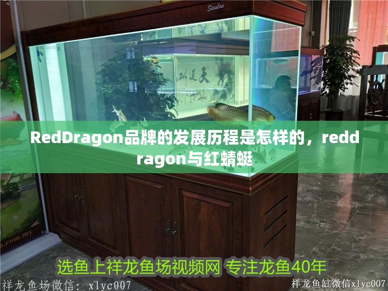 詳細閱讀:RedDragon品牌的發展歷程是怎樣的,reddragon與紅蜻蜓 RedDragon品牌的發展歷程是怎樣的,reddragon與紅蜻蜓