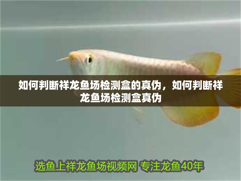 如何判斷祥龍魚場檢測盒的真偽，如何判斷祥龍魚場檢測盒真偽