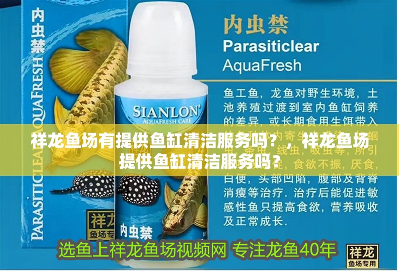 祥龍魚場有提供魚缸清潔服務嗎？，祥龍魚場提供魚缸清潔服務嗎？