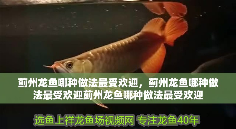 詳細閱讀:薊州龍魚哪種做法最受歡迎,薊州龍魚哪種做法最受歡迎薊州龍魚哪種做法最受歡迎 薊州龍魚哪種做法最受歡迎,薊州龍魚哪種做法最受歡迎薊州龍魚哪種做法最受歡迎