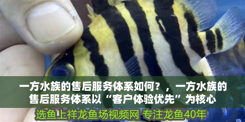 詳細閱讀:一方水族的售后服務體系如何?,一方水族的售后服務體系以“客戶體驗優先”為核心 一方水族的售后服務體系如何?,一方水族的售后服務體系以“客戶體驗優先”為核心