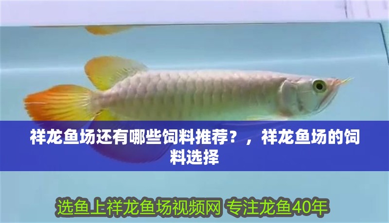 祥龍魚場還有哪些飼料推薦？，祥龍魚場的飼料選擇 祥龍魚場還有哪些飼料推薦？，祥龍魚場的飼料選擇 龍魚百科