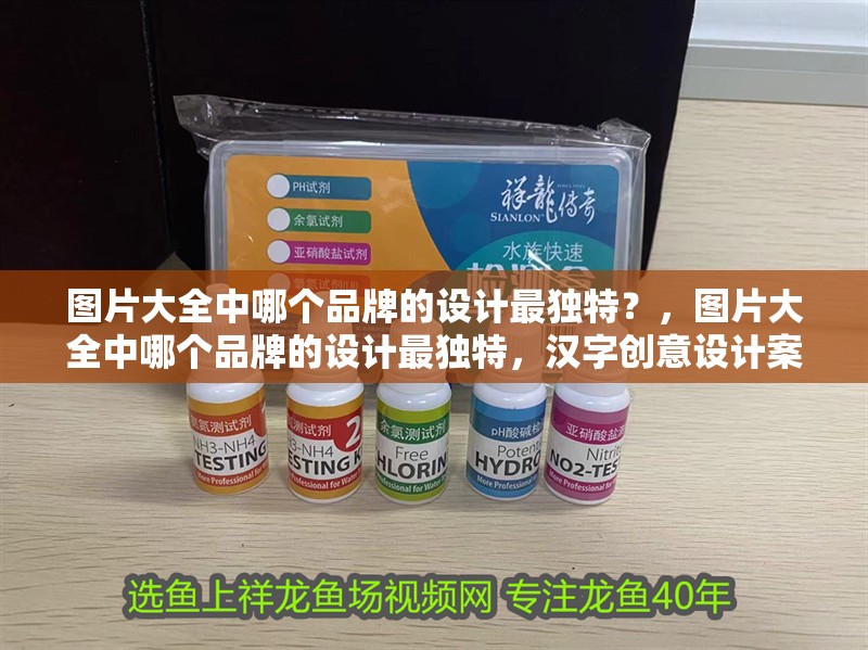 圖片大全中哪個品牌的設計最獨特？，圖片大全中哪個品牌的設計最獨特，漢字創意設計案例集