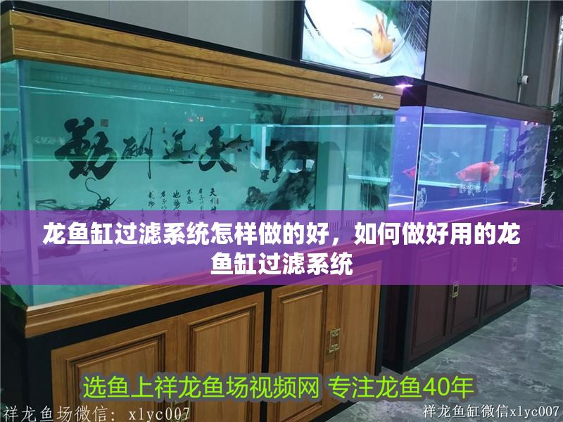 龍魚缸過濾系統怎樣做的好，如何做好用的龍魚缸過濾系統