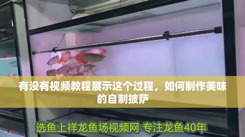 有沒有視頻教程展示這個過程，如何制作美味的自制披薩 有沒有視頻教程展示這個過程，如何制作美味的自制披薩 龍魚百科