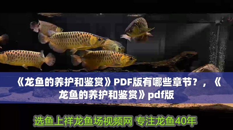 《龍魚的養護和鑒賞》PDF版有哪些章節？，《龍魚的養護和鑒賞》pdf版