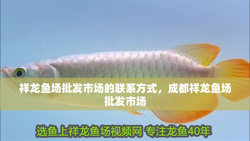 祥龍魚場批發市場的聯系方式，成都祥龍魚場批發市場