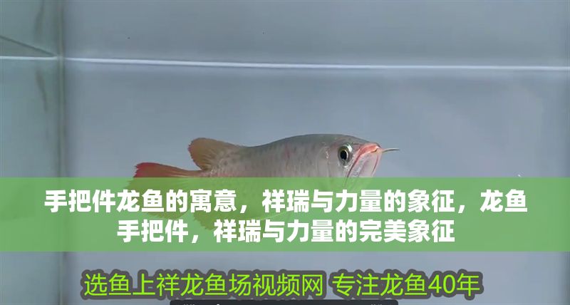 手把件龍魚的寓意，祥瑞與力量的象征，龍魚手把件，祥瑞與力量的完美象征 手把件龍魚的寓意，祥瑞與力量的象征，龍魚手把件，祥瑞與力量的完美象征 龍魚百科 第1張