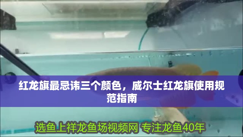 紅龍旗最忌諱三個顏色，威爾士紅龍旗使用規范指南