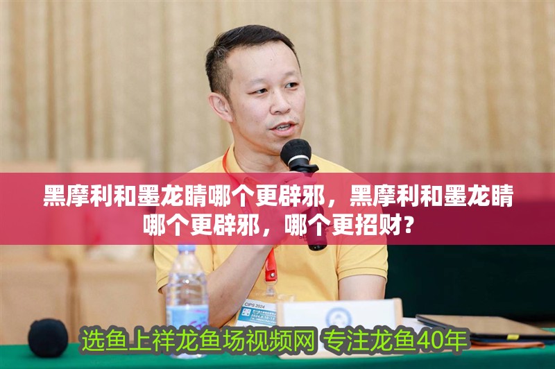 黑摩利和墨龍睛哪個更辟邪，黑摩利和墨龍睛哪個更辟邪，哪個更招財？ 黑摩利和墨龍睛哪個更辟邪，黑摩利和墨龍睛哪個更辟邪，哪個更招財？ 龍魚百科