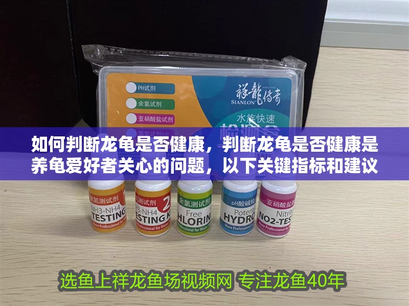 如何判斷龍龜是否健康，判斷龍龜是否健康是養(yǎng)龜愛好者關心的問題，以下關鍵指標和建議