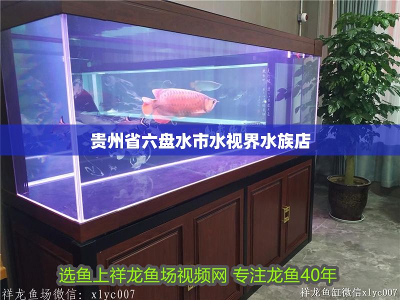 貴州省六盤水市水視界水族店