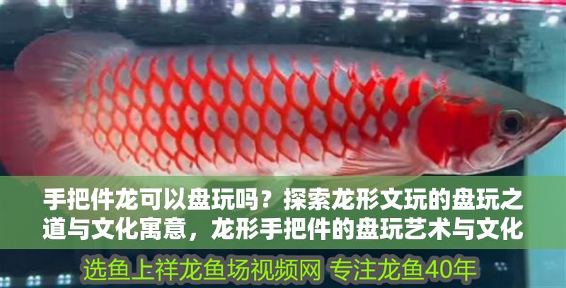 手把件龍可以盤玩嗎？探索龍形文玩的盤玩之道與文化寓意，龍形手把件的盤玩藝術(shù)與文化內(nèi)涵探析