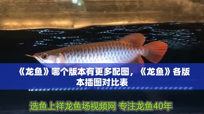 《龍魚》哪個版本有更多配圖，《龍魚》各版本插圖對比表