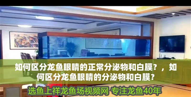 如何區分龍魚眼睛的正常分泌物和白膜？，如何區分龍魚眼睛的分泌物和白膜？