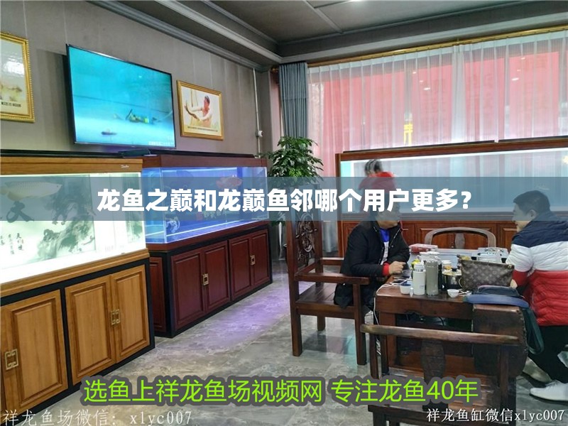 龍魚之巔和龍巔魚鄰哪個用戶更多？
