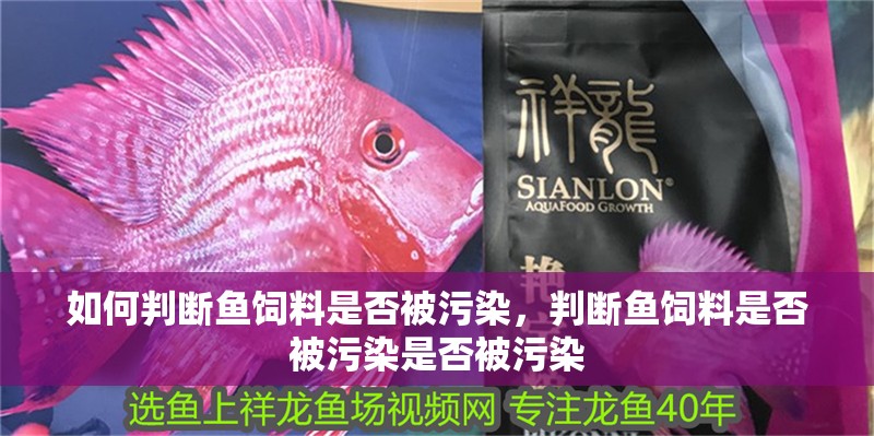 如何判斷魚飼料是否被污染，判斷魚飼料是否被污染是否被污染