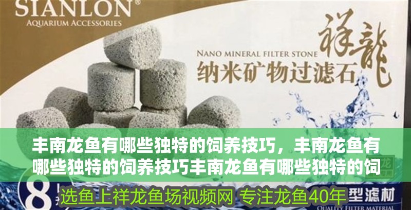 魚缸用增氧泵價格是多少:魚缸增氧機-xtrac增氧機-xtrac增氧機 豐南龍魚有哪些獨特的飼養技巧,豐南龍魚有哪些獨特的飼養技巧豐南龍魚有哪些獨特的飼養技巧 龍魚百科 豐南龍魚有哪些獨特的飼養技巧,豐南龍魚有哪些獨特的飼養技巧豐南龍魚有哪些獨特的飼養技巧 豐南龍魚有哪些獨特的飼養技巧,豐南龍魚有哪些獨特的飼養技巧豐南龍魚有哪些獨特的飼養技巧 龍魚百科