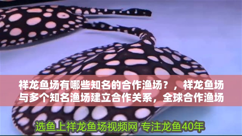 祥龍魚場有哪些知名的<strong><mark>合作</mark></strong>漁場？，祥龍魚場與多個知名漁場建立<strong><mark>合作</mark></strong>關(guān)系，全球<strong><mark>合作</mark></strong>漁場分布清單