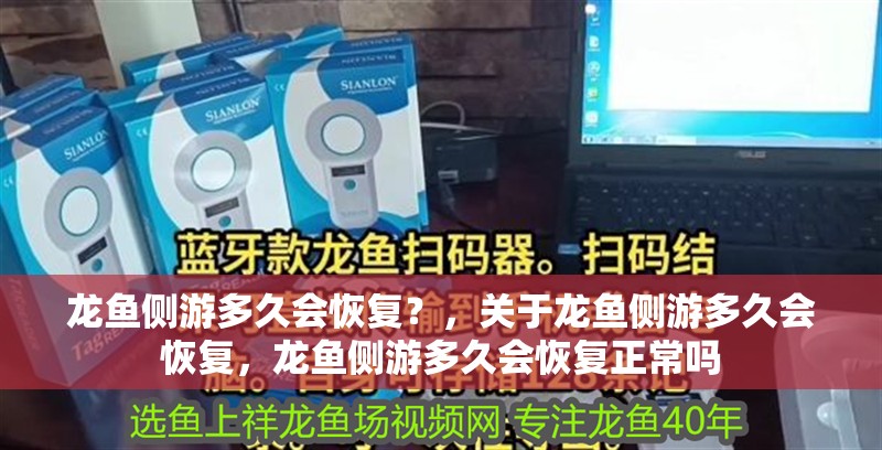 詳細閱讀:龍魚側游多久會恢復?,關于龍魚側游多久會恢復,龍魚側游多久會恢復正常嗎 龍魚側游多久會恢復?,關于龍魚側游多久會恢復,龍魚側游多久會恢復正常嗎