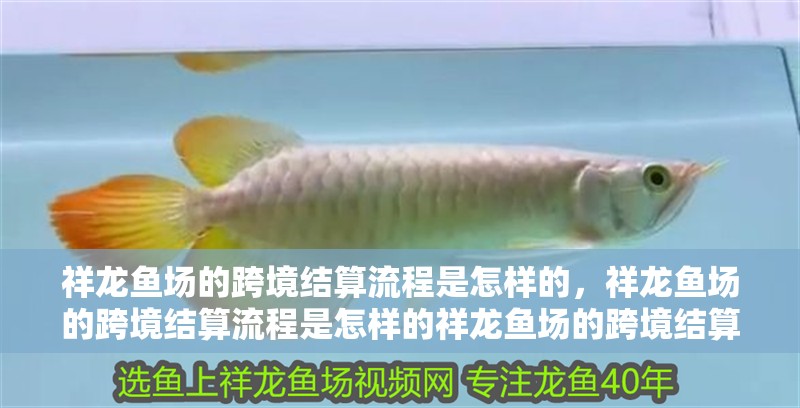 祥龍魚場的跨境結算流程是怎樣的，祥龍魚場的跨境結算流程是怎樣的祥龍魚場的跨境結算流程