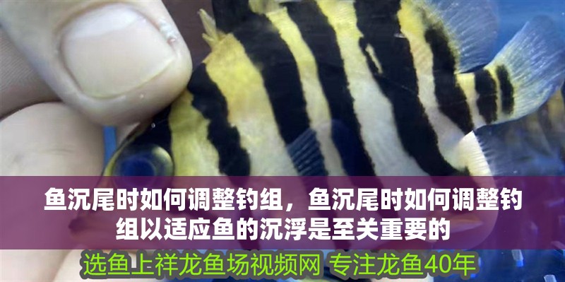 魚沉尾時如何調整釣組，魚沉尾時如何調整釣組以適應魚的沉浮是至關重要的