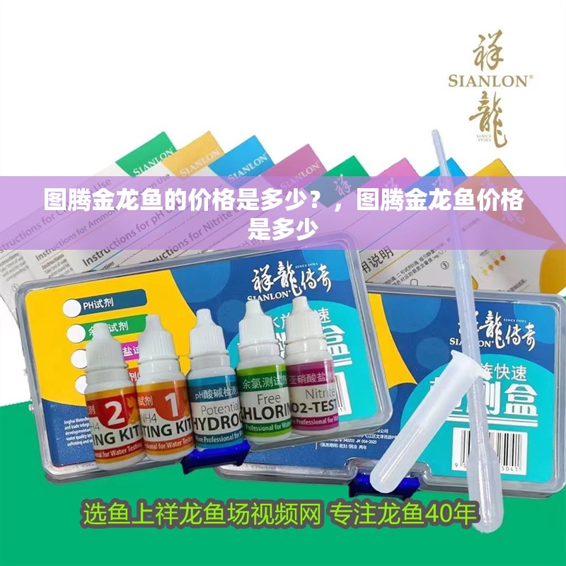 圖騰金龍魚的價格是多少？，圖騰金龍魚價格是多少