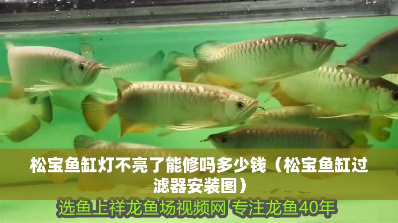 松寶魚缸燈不亮了能修嗎多少錢（松寶魚缸過濾器安裝圖）