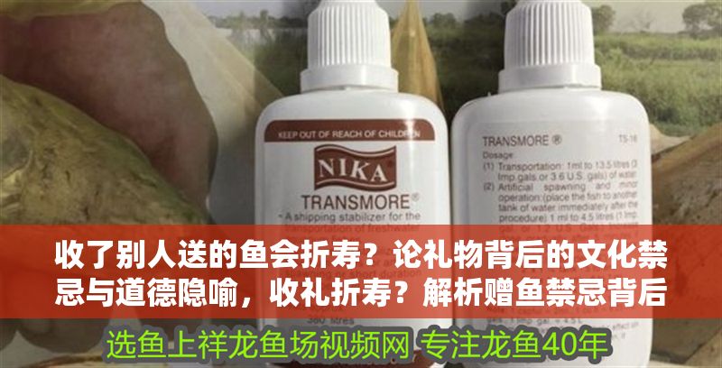 收了別人送的魚會折壽？論禮物背后的文化禁忌與道德隱喻，收禮折壽？解析贈魚禁忌背后的文化寓意與道德考量