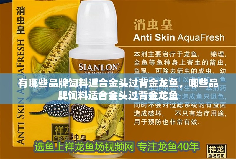 有哪些品牌飼料適合金頭過背金龍魚，哪些品牌飼料適合金頭過背金龍魚