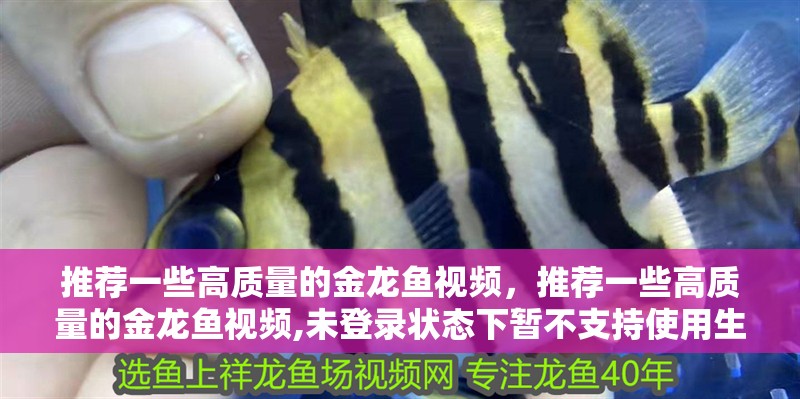 推薦一些高質量的金龍魚視頻，推薦一些高質量的金龍魚視頻,未登錄狀態下暫不支持使用生視頻能力