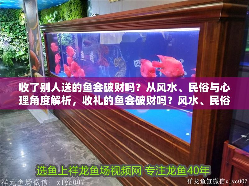收了別人送的魚會破財嗎？從風水、民俗與心理角度解析，收禮的魚會破財嗎？風水、民俗與心理三重解讀