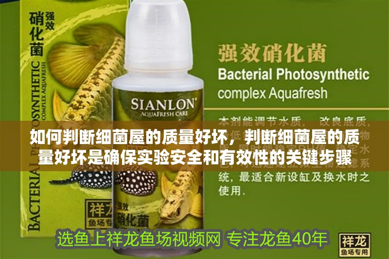 如何判斷細(xì)菌屋的質(zhì)量好壞，判斷細(xì)菌屋的質(zhì)量好壞是確保實驗安全和有效性的關(guān)鍵步驟