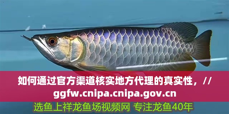 如何通過官方渠道核實地方代理的真實性，//ggfw.cnipa.cnipa.gov.cn
