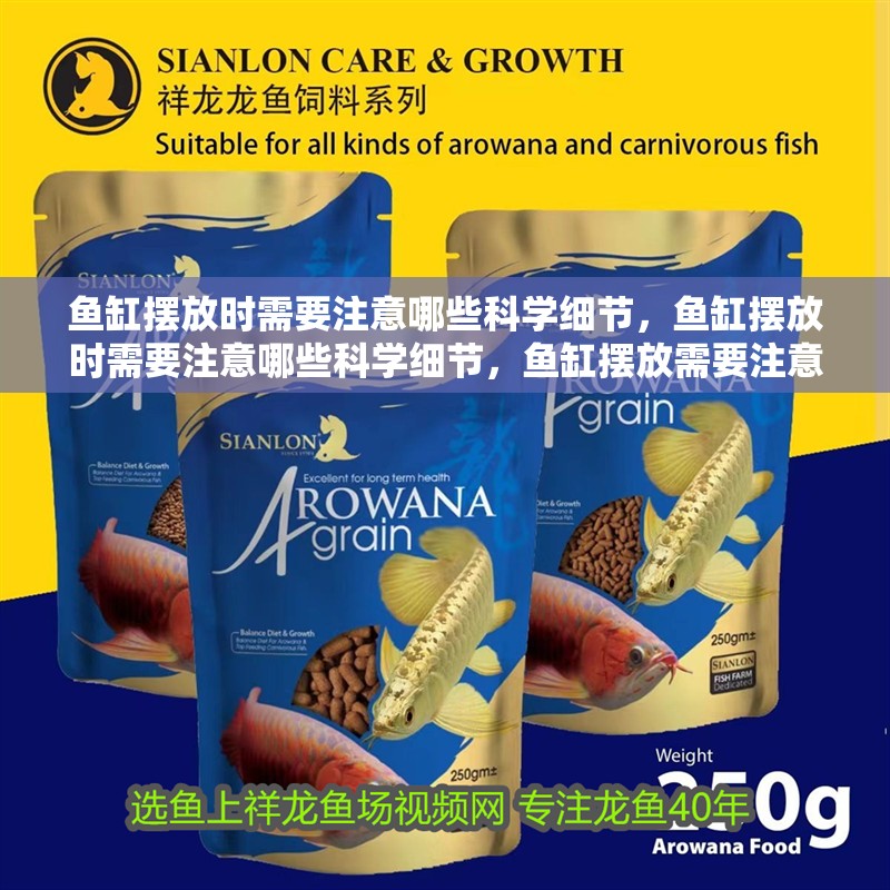 魚缸擺放時(shí)需要注意哪些科學(xué)細(xì)節(jié)，魚缸擺放時(shí)需要注意哪些科學(xué)細(xì)節(jié)，魚缸擺放需要注意哪些科學(xué)細(xì)節(jié) 魚缸擺放時(shí)需要注意哪些科學(xué)細(xì)節(jié)，魚缸擺放時(shí)需要注意哪些科學(xué)細(xì)節(jié)，魚缸擺放需要注意哪些科學(xué)細(xì)節(jié) 龍魚百科