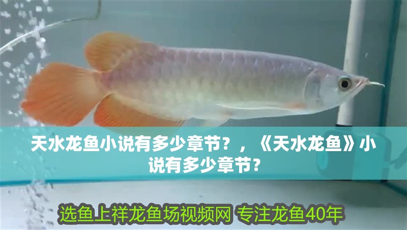 天水龍魚小說有多少章節？，《天水龍魚》小說有多少章節？