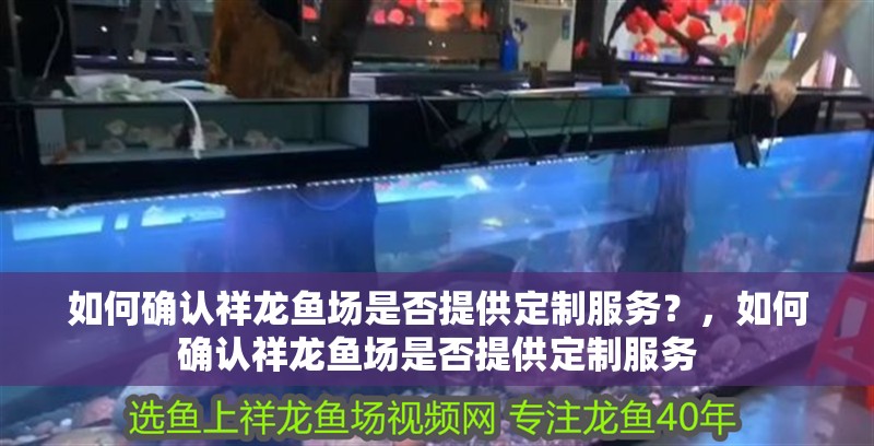 如何確認祥龍魚場是否提供定制服務？，如何確認祥龍魚場是否提供定制服務 如何確認祥龍魚場是否提供定制服務？，如何確認祥龍魚場是否提供定制服務 龍魚百科