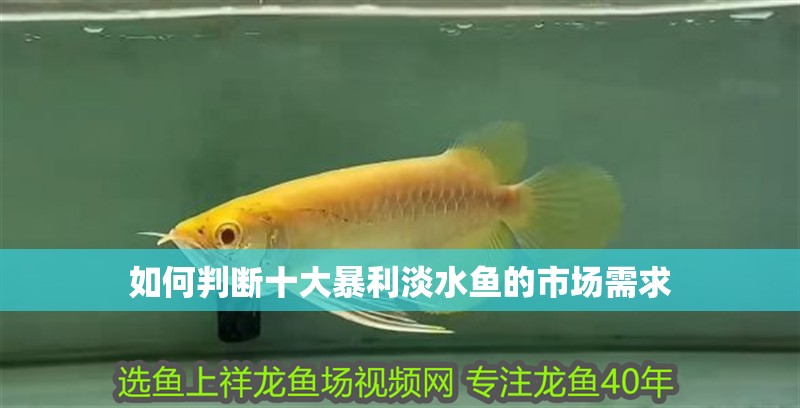 魚缸過濾器選購指南:自制魚缸過濾器魚缸上置過濾器對于養(yǎng)魚愛好者的必備知識 如何判斷十大暴利淡水魚的市場需求 龍魚百科 如何判斷十大暴利淡水魚的市場需求 如何判斷十大暴利淡水魚的市場需求 龍魚百科