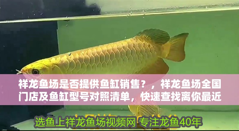 祥龍魚場是否提供魚缸銷售？，祥龍魚場全國門店及魚缸型號對照清單，快速查找離你最近的購買點