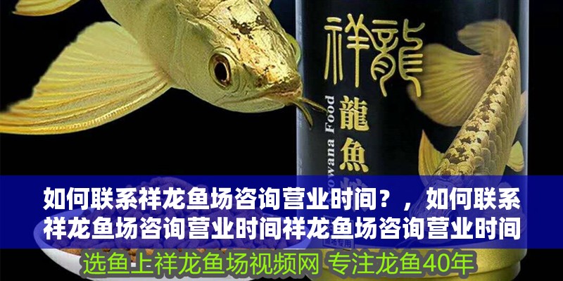如何聯(lián)系祥龍魚場咨詢營業(yè)時(shí)間？，如何聯(lián)系祥龍魚場咨詢營業(yè)時(shí)間祥龍魚場咨詢營業(yè)時(shí)間