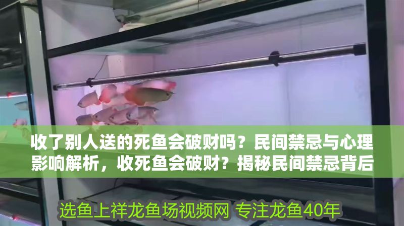 收了別人送的死魚會破財嗎？民間禁忌與心理影響解析，收死魚會破財？揭秘民間禁忌背后的心理影響