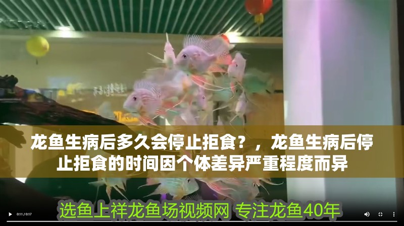 龍魚生病后多久會停止拒食？，龍魚生病后停止拒食的時間因個體差異嚴重程度而異