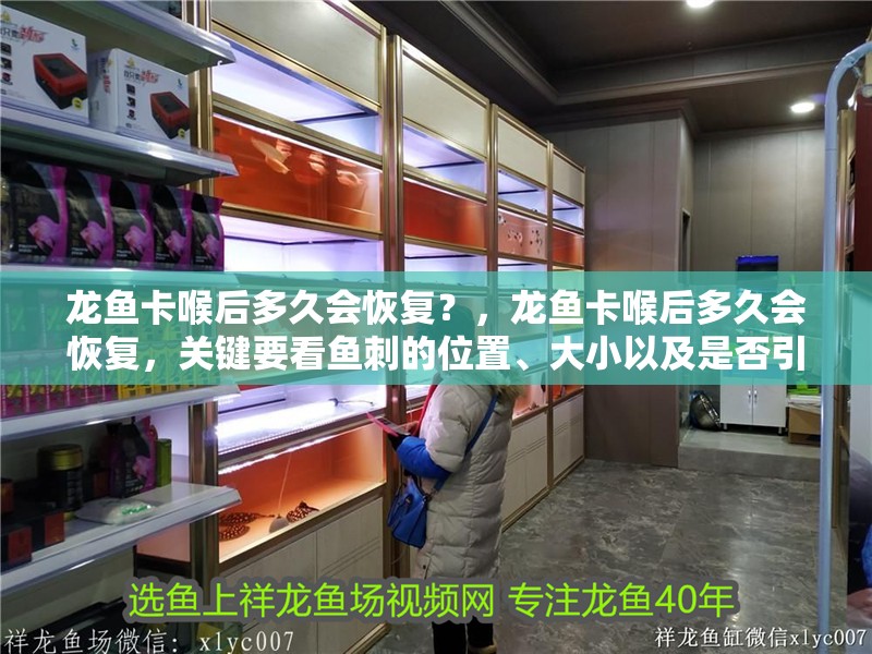 龍魚卡喉后多久會恢復？，龍魚卡喉后多久會恢復，關鍵要看魚刺的位置、大小以及是否引發損傷