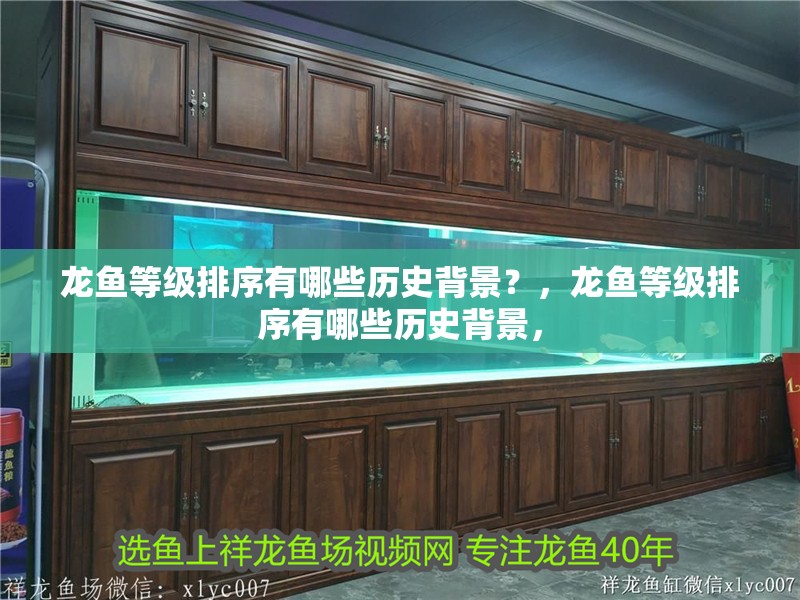 龍魚等級排序有哪些歷史背景？，龍魚等級排序有哪些歷史背景，
