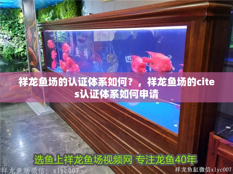 祥龍魚場的認證體系如何？，祥龍魚場的cites認證體系如何申請