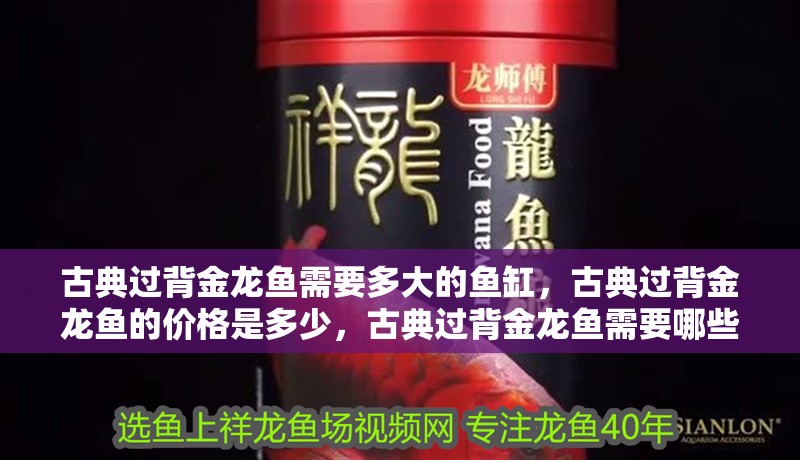 古典過背金龍魚需要多大的魚缸，古典過背金龍魚的價格是多少，古典過背金龍魚需要哪些水質參數 古典過背金龍魚需要多大的魚缸，古典過背金龍魚的價格是多少，古典過背金龍魚需要哪些水質參數 龍魚百科