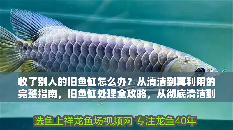收了別人的舊魚缸怎么辦？從清潔到再利用的完整指南，舊魚缸處理全攻略，從徹底清潔到創意再利用 收了別人的舊魚缸怎么辦？從清潔到再利用的完整指南，舊魚缸處理全攻略，從徹底清潔到創意再利用 龍魚百科 第1張