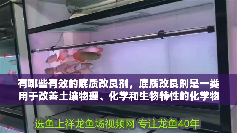 有哪些有效的底質改良劑，底質改良劑是一類用于改善土壤物理、化學和生物特性的化學物質